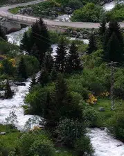 Rize zirvelerinde bahar nöbeti bitti: Doğanın renk cümbüşü ziyaretçileri bekliyor