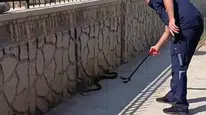 Hastane bahçesinde korku dolu dakikalar: 2 metrelik davetsiz misafir paniğe yol açtı