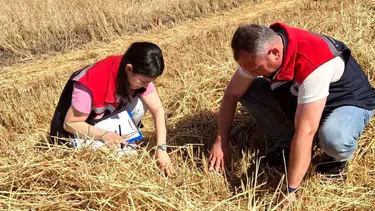 Hasadın bereketi sahada denetleniyor: Çiftçinin emeği korunuyor