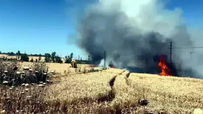 Hasat öncesi büyük panik: Alevler dakikalar içinde tarlayı küle çevirdi