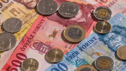 Macaristan'da tarihi karar: Forint dönemi kapanıyor mu?