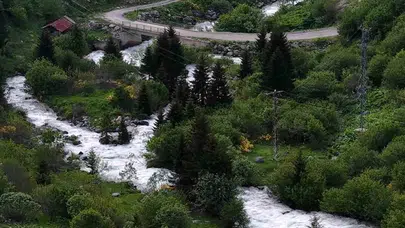 Rize zirvelerinde bahar nöbeti bitti: Doğanın renk cümbüşü ziyaretçileri bekliyor