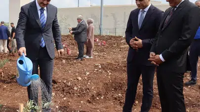 Demir parmaklıklar ardında yeşil umut: Hükümlülerin elleriyle hayat bulan 5 bin zeytin fidanı