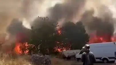 Diyarbakır’da çiftçinin kabusu: Rüzgarla büyüyen alevler tarlaları kül etti
