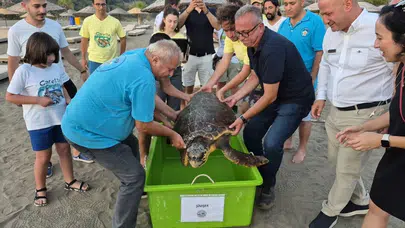 İztuzu'nun şanslı misafiri Şimşek özgürlüğüne kavuştu