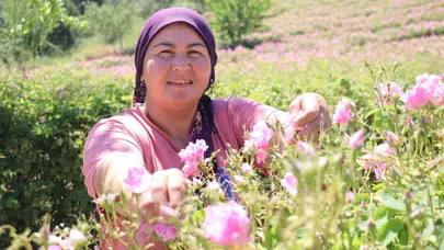 Dünya parfümeri devlerinin rotası Isparta: Şafak vaktinde başlayan o mis kokulu maraton