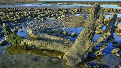 Kuzey Denizi’nin altında gizlenen devasa sır: Doggerland meğer bir orman cennetiymiş