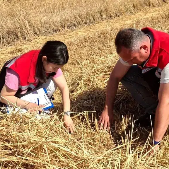 Hasadın bereketi sahada denetleniyor: Çiftçinin emeği korunuyor