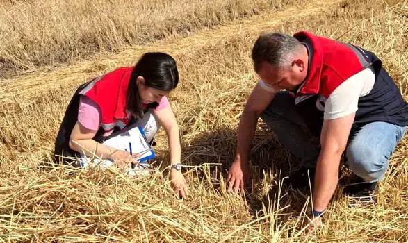Hasadın bereketi sahada denetleniyor: Çiftçinin emeği korunuyor